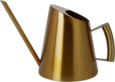Immagine prodotto di Annaffiatoio - Beccuccio lungo - Per piante d'appartamento - Acciaio inox 201 - Capacità 1,3 litri - Oro