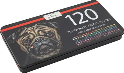 Zdjęcie produktu dla Zestaw kredek Nassau Fine Art Professional 120 dla dzieci i dorosłych | Zestaw do rysowania | Bogate i żywe kolory