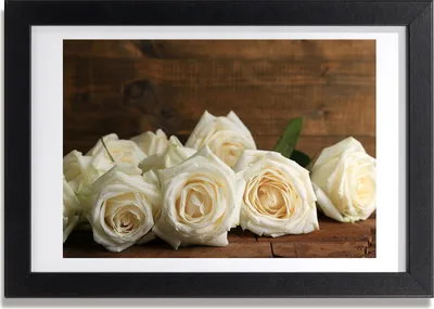 Produktbild von Bild 30x20 MDF-Rahmen, Wandkunst Weiße Rosen