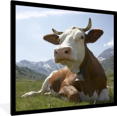 Produktbild von MuchoWow® Gerahmtes Poster Kuh - Berg - Gras 40x40 cm - Poster mit Schwarzem Bilderrahmen Wandposter Rahmen Foto Bilder - Mit Rahmen - Wanddekoration Schlafzimmer