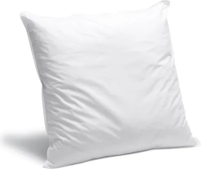 Image de Bleu Calin Oreiller Moelleux Gonflant - 60x60cm