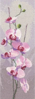 Produktbild von Heritage Kreuzstich Set Aida "Orchideentafel (A)", Zählmuster, JCOR686-A, 11x31cm