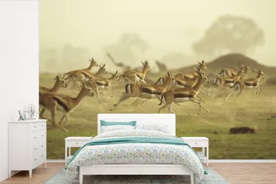Produktbild von MuchoWow® Fototapete für Wohnzimmer oder Schlafzimmer Wandtapete Vinyl Motivtapete Gazelle - Afrika - Boom - 600x400 cm - Vinyltapeten