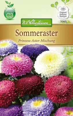 Produktbild von Chrestensen Sommeraster 'Prinzess-Aster-Mischung