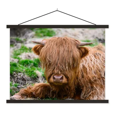 Produktbild von MuchoWow® Textilposter Schottischer Highlander - Heu - Gras 120x90 cm mit schwarzem Rahmen - Aufhänger für Poster