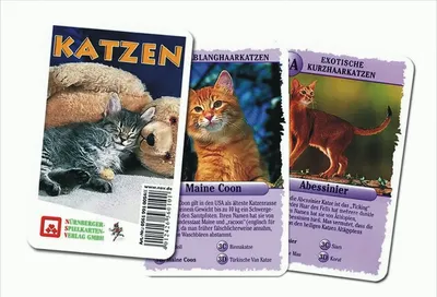 Produktbild von Quartett Katzen