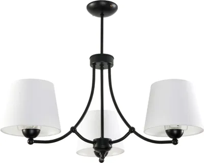 Image de Plafonnier noir AUGUSTO 11-672