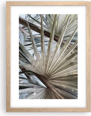 Produktbild von Gerahmtes Poster - Rahmen in heller Eiche - Blatt Palme Natur - 30x40 cm - Wand Bild - Wanddeko - Wandbilder - Kunstposter - Wandposter - Bilderrahmen - Bilder - Kunstdruck - P2NPA30x40-5056