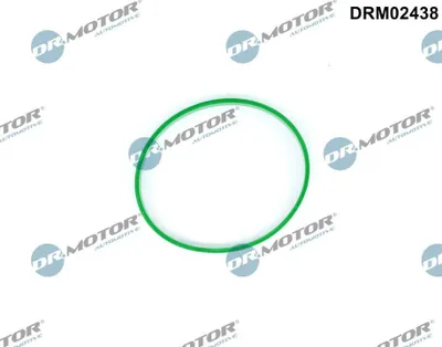 Obrázek produktu pro Těsnění Škrtící Klapky Ford Focus 2.0 11-