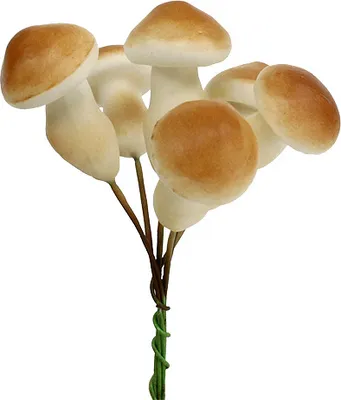 Produktbild von Deko-Pilz am Draht 3cm - 5cm 24 St - Herbstdeko Kunstpilze Gestecke Kranzbasteln, 24 Stück