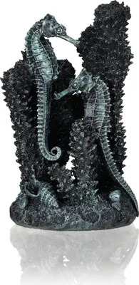Produktbild von biOrb Seepferdchen schwarz S (55061)