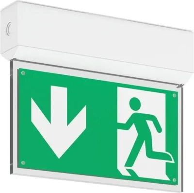 Immagine prodotto di RZB Luce di sicurezza a LED 672420.002