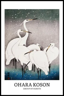 Immagine prodotto di Poster 61x91,5 cm Design Egrets, Koson Vintage per il salotto