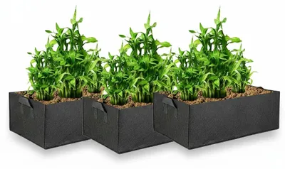 Productafbeelding van In- en outdoor kweekzakken - Gemaakt van ademend materiaal - Afmetingen: 40 x 30 x 20 cm