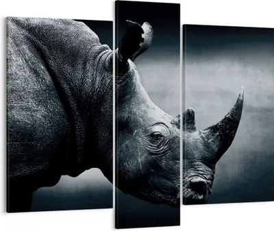 Produktbild von Bild auf Leinwand - Leinwandbild - 3 Teile - Nashorn Schwarzweiß Porträt - 95x80cm - Wand Bild - Wanddeko - Wandbilder - Leinwanddruck - Bilder - Wanddekoration - Leinwand bilder - CB95x80-4347