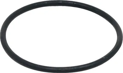 Produktbild von Fluval Dichtungsring für den Motor für Fluval FX5