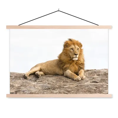 Produktbild von MuchoWow® Textilposter Löwe - Mähne - Tier 60x40 cm mit holzfarbenen Rahmen - Bilder