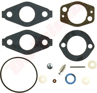 Image de Membransatz Für Briggs&Stratton ( 695157 )