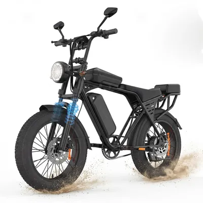 Immagine prodotto di Bici elettrica X5, tutti i terreni, 48V 15Ah, autonomia 80km, 20", doppi freni a disco, due ricariche, carico max 200kg
