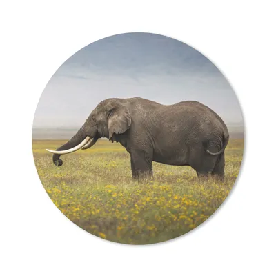 Produktbild von MuchoWow® Mauspad Mousepad Elefant - Tiere - Blumen - Gras - Natur 20x20 cm - Mousepads - Maus Mat - Pad - Mausunterlage - Schreibtischmatte