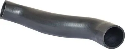Image de BUGIAD Tuyau d'air de suralimentation