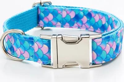 Produktbild von Hundehalsband Verstellbares, Weich Hunde Halsband für Kleine Hunde,(XS)