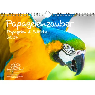 Produktbild von Papageienzauber Papageien und Sittiche DIN A4 Kalender für 2024 - Seelenzauber