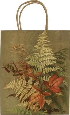 Image de Sac décoratif A5 STBAG130 Fougères d'automne