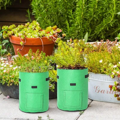Produktbild von ISOISL 30er Pflanzsack Set 26,5 L mit Sichtfenster & Tragegriffen, faltbare Pflanztaschen für Gewächshaus, Terrasse & Garten