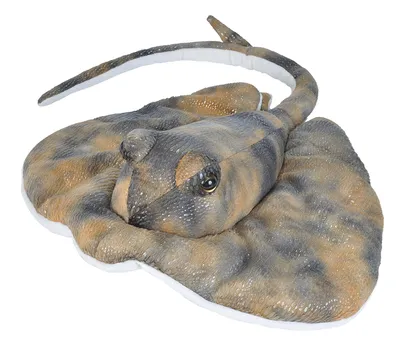 Produktbild von Wild Republic - Kuscheltier - Cuddlekins - Stechrochen