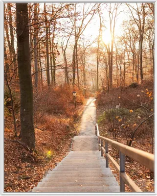 Produktbild von Wallario Wandbild Weg in den Sonnenuntergang, Größe: 40,30 x 50,30 cm, Poster mit weißem Aluminiumrahmen