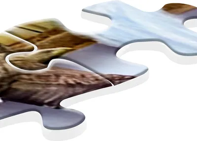Produktbild von Ravensburger Aimee Steward: Großartige Tierwelt Puzzle