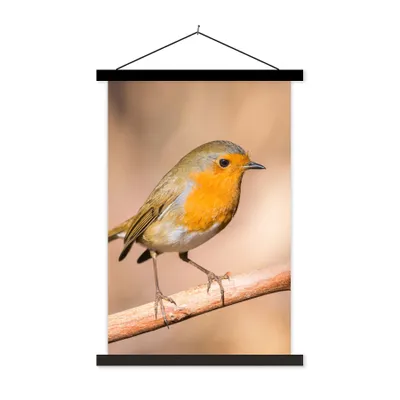 Produktbild von MuchoWow® Textilposter Vogel - Zweig - Rotkehlchen 40x60 cm mit schwarzem Rahmen - Wanddekorationen