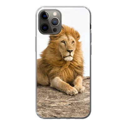 Produktbild von MuchoWow® Handyhülle Schutzhülle Hülle für iPhone 13 Pro Löwe - Mähne - Tier Silikon Softcase Handy Hülle - Handy-Tasche