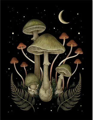 Produktbild von Episodic Drawing - Gerahmtes Poster "Death Cap" PM8622 (45 cm x 35 cm) (Schwarz/Grün/Braun)