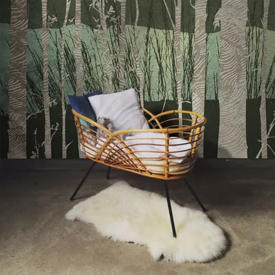 Produktbild von Coloray Fototapete 360x250 cm Vlies-Fototapete - Textubirch Bäume Waldwald