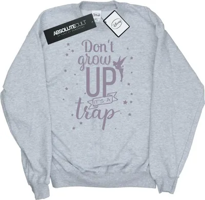 Produktbild von Disney - "Don't Grow Up" Sweatshirt für Herren BI47155 (XXL) (Grau)