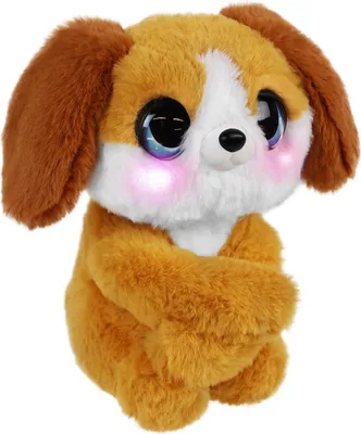Produktbild von Meine flauschigen Freunde Ziggy