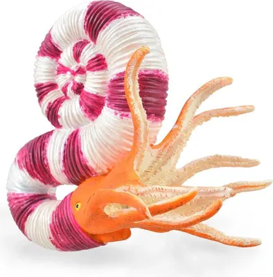 Produktbild von COLLECTA Pravitoceras - (L)