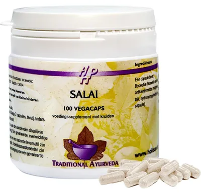 Produktbild von Holisan - Salai boswellia serrata - 100 Kapseln