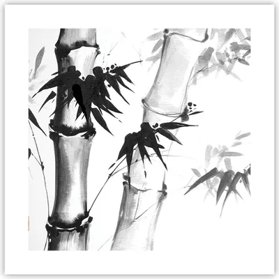 Produktbild von Poster - Poster ohne Rahmen - Asiatisch Aquarell Bambus - 40x40 cm - Wand Bild - Wanddeko - Wandbilder - Kunstposter - Wandposter - Bilder - Kunstdruck - Wanddekoration - Wandbild - P2XAC40x40-4577