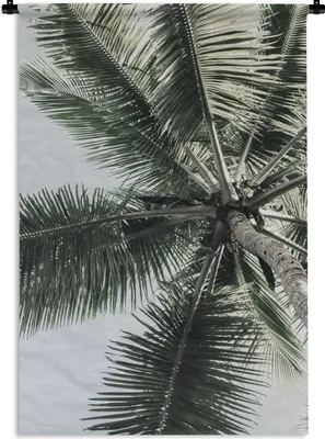 Produktbild von MuchoWow® Wandteppich Wandbehang Palme - Tropisch - Sommer 60x90 cm Tapisserie Dekoration Wandtuch - Foto-Teppich - Abwaschbar