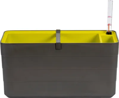 Obrázek produktu pro PLASTIA s.r.o. Samozavlažovací truhlík Berberis antracitová + zelená, 40 cm