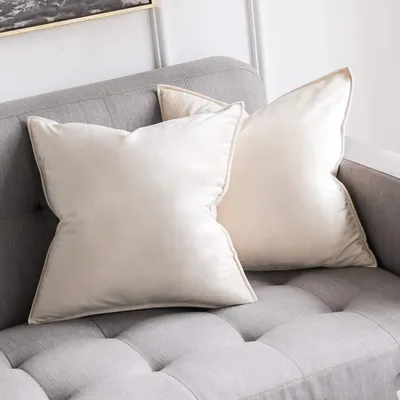 Immagine prodotto di Set di 2 eleganti copricuscini in velluto, dimensioni 60x60 cm