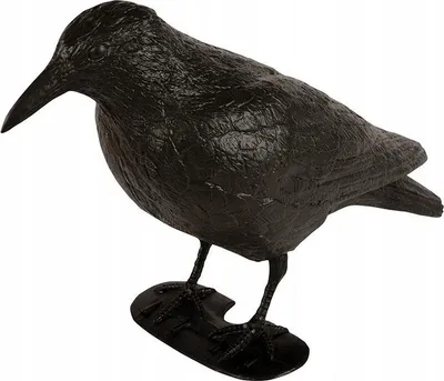 Produktbild von Große Rabenvogelscheuche für Taubenabwehr, 40 cm