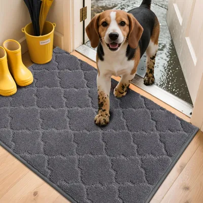 Productafbeelding van Binnenmat, 60 x 90 cm, donkergrijs. Vuilvanger, antislip, machinewasbaar