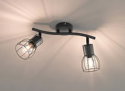 Produktbild von Fischer & Honsel Deckenstrahler KAFES 2 flammig
