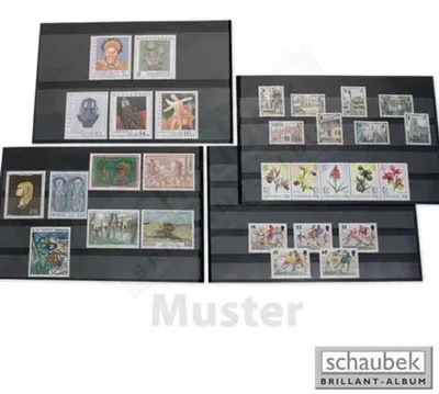 Produktbild von Schaubek K5510 Kassette mit 30 Einsteckkarten, sortiert