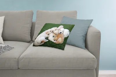 Produktbild von MuchoWow® Zierkissen Sofakissen Wohnzimmer Dekokissen 60x40 cm Tiere - Welpen - Hunde - Kopfkissen - Polster mit Foto