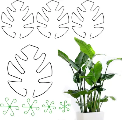 Imagen del producto de Juego de soportes para plantas, de 4 piezas, en diferentes tamaños, para plantas como la Monstera y plantas trepadoras